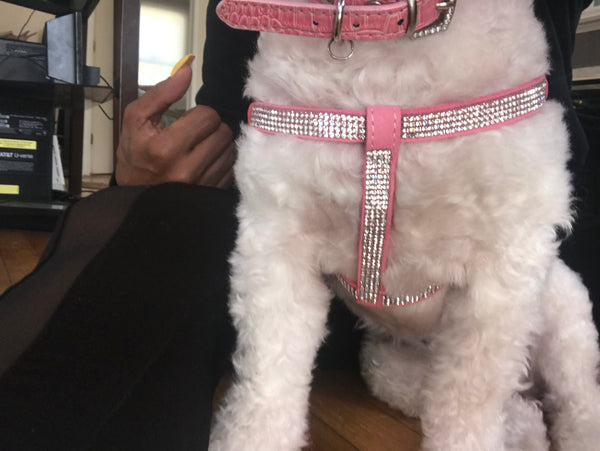 Blinged Out Body Harness