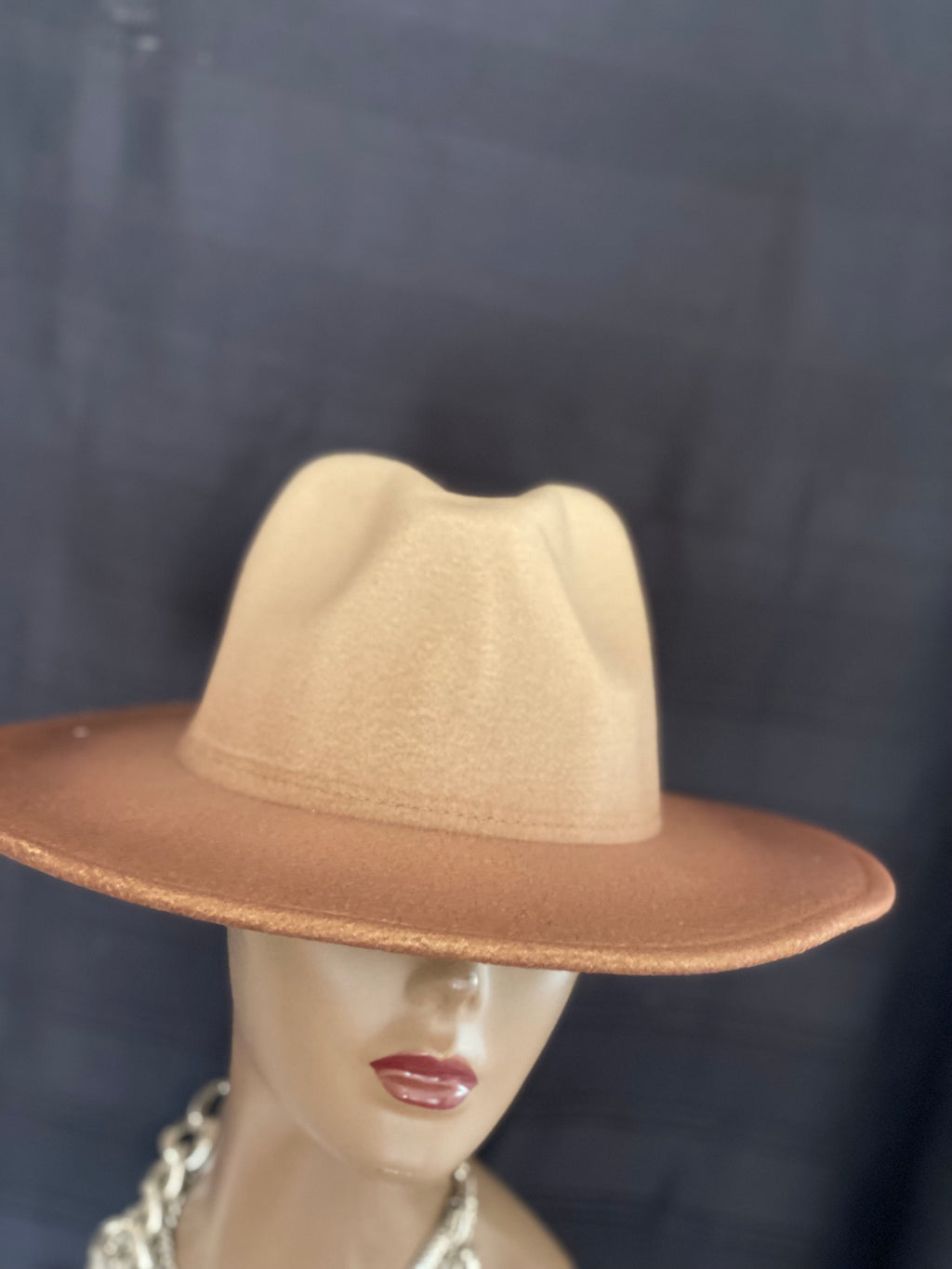 2 Tone Ombré Fedoras